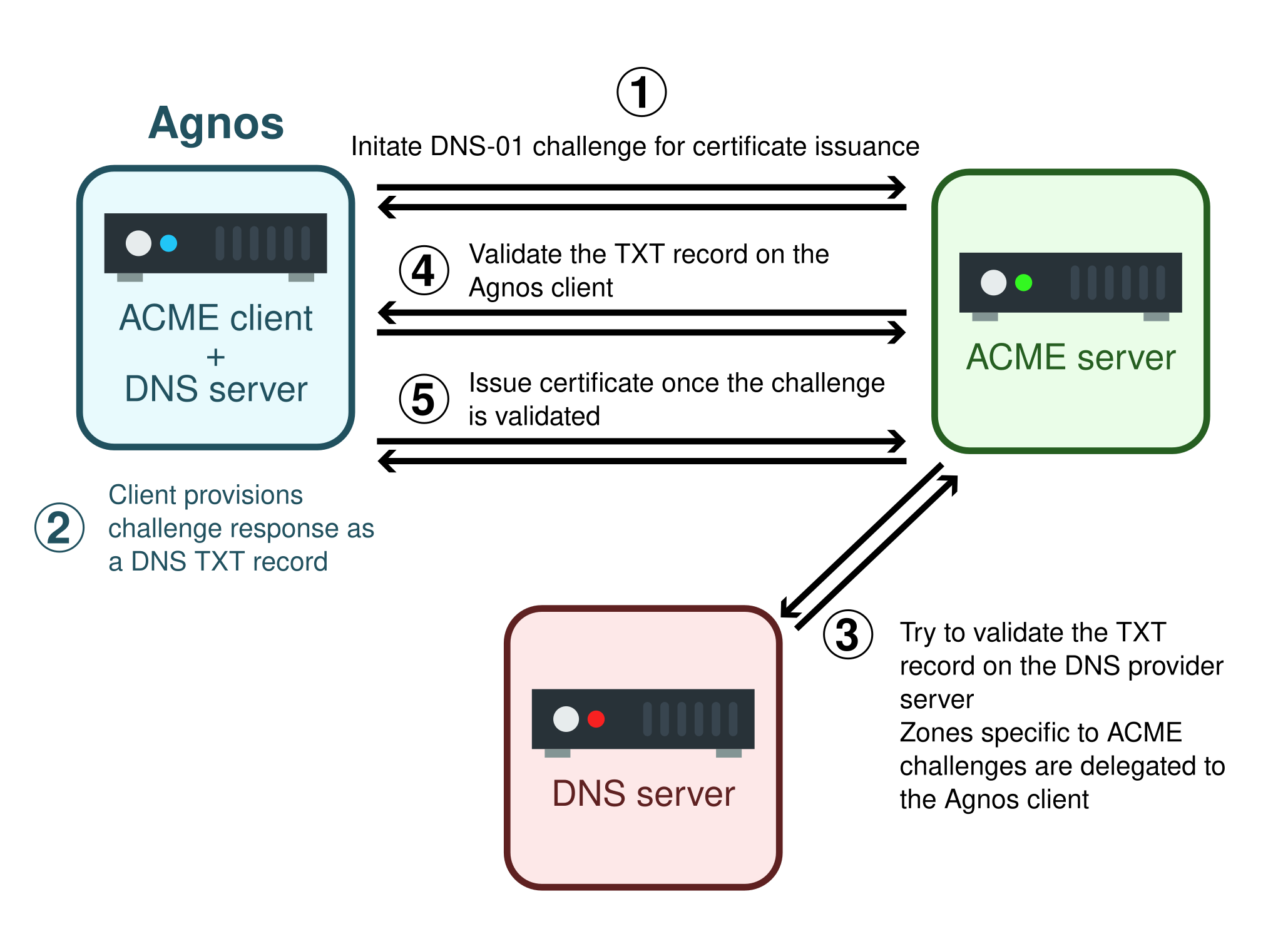 Schematic illustration of the DNS-01 challenge when using Agnos.