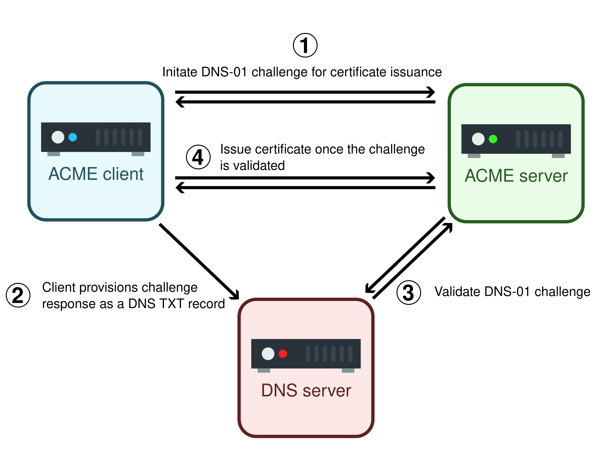 Schematic illustration of the DNS-01 challenge.