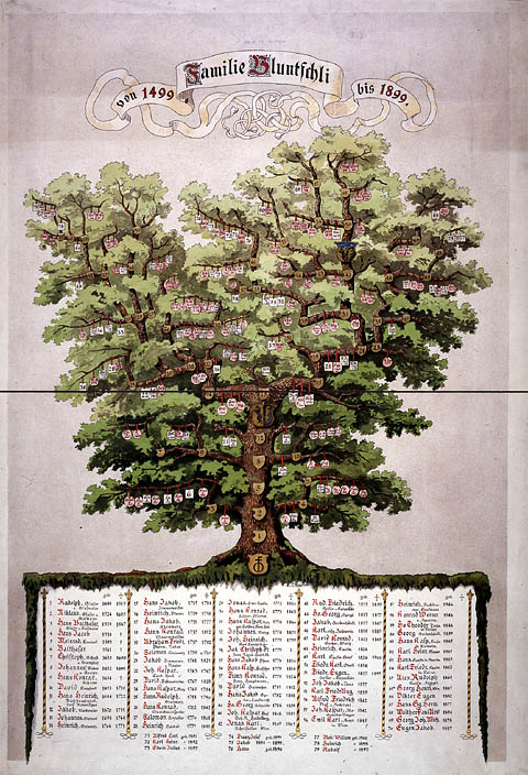 Geneweb was developed in the 90s to manage family trees... and is still managing them!